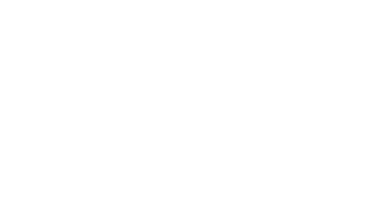 Conoce más de Zondela