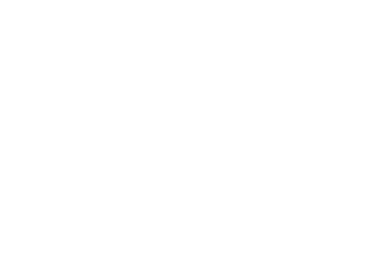 Conoce más de Zondela