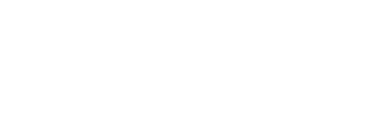 Conoce más de Zondela