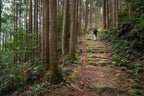 Kumano Kodo · 14 Mar – 22 Mar 2027