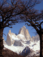 Patagonia · 29 Ene – 6 Feb 2027