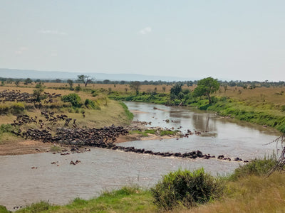 Tanzania