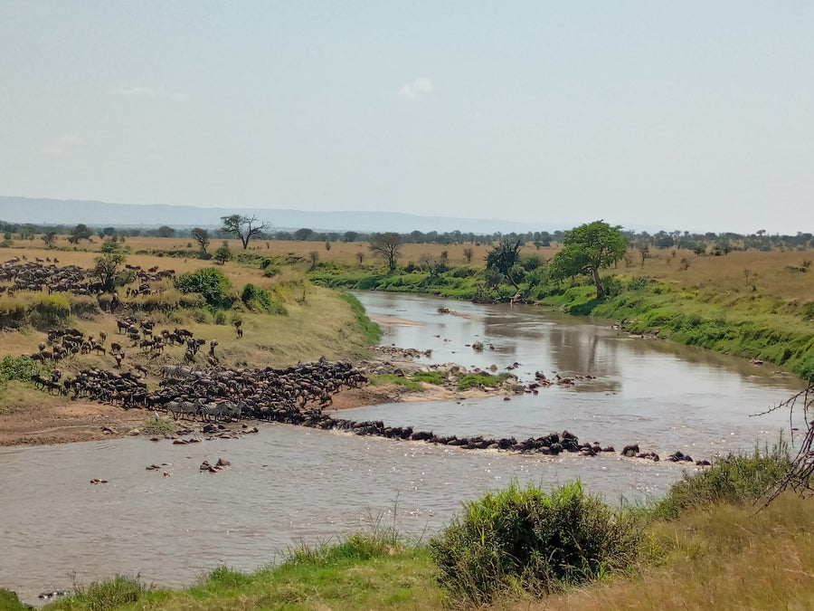Tanzania · 5 Ago – 12 Ago 2027