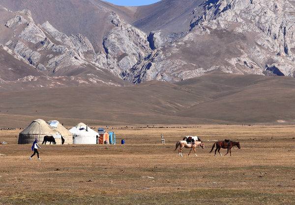 Caballos y yurtas junto al lago Song-Köl, Kirguistán