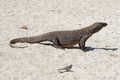 Komodo · 17 Mar – 20 Mar 2027