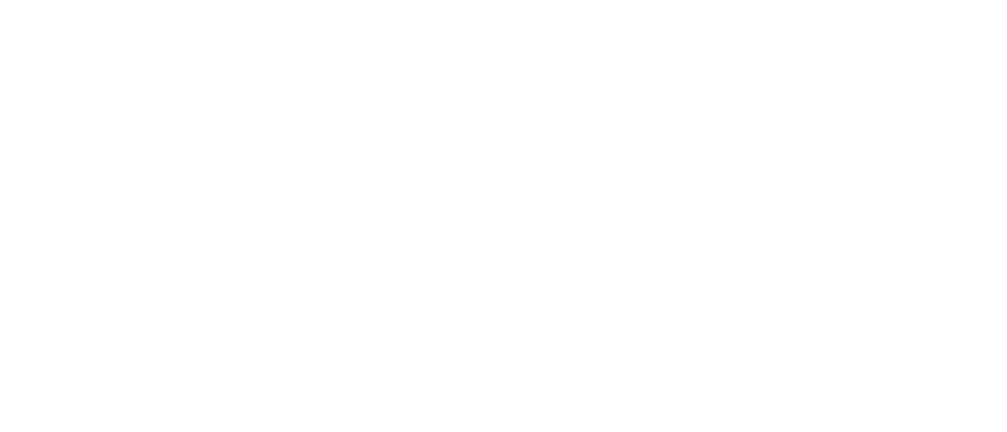 Zondela-travel
