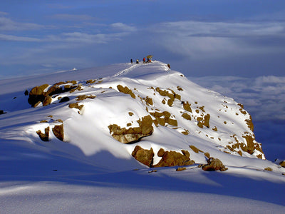 Kilimanjaro