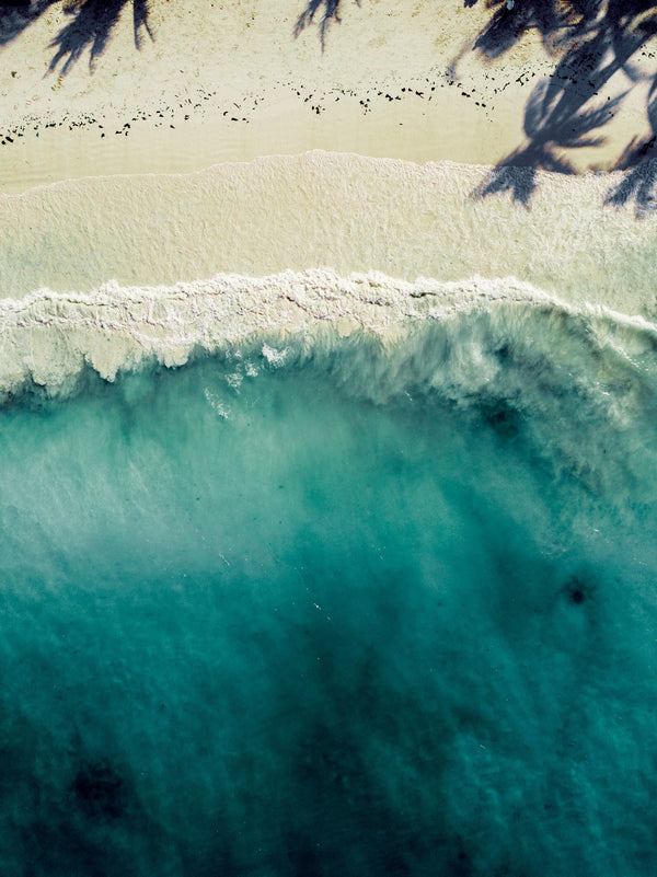 playa-de-zanzibar