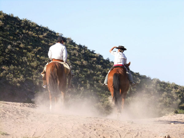 estancia-patagonica-con-asado-y-caballos