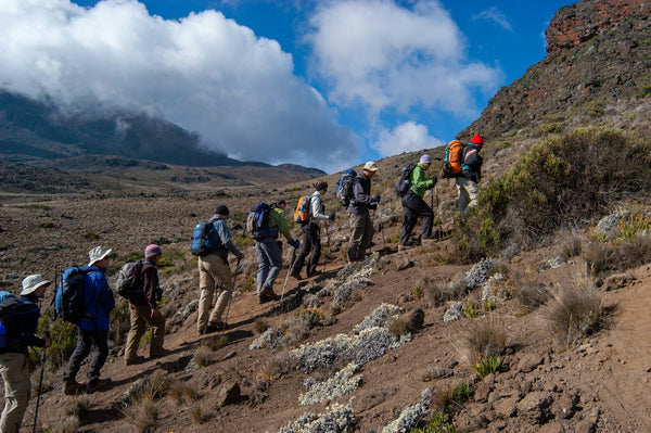 trekking-al-kilimanjaro
