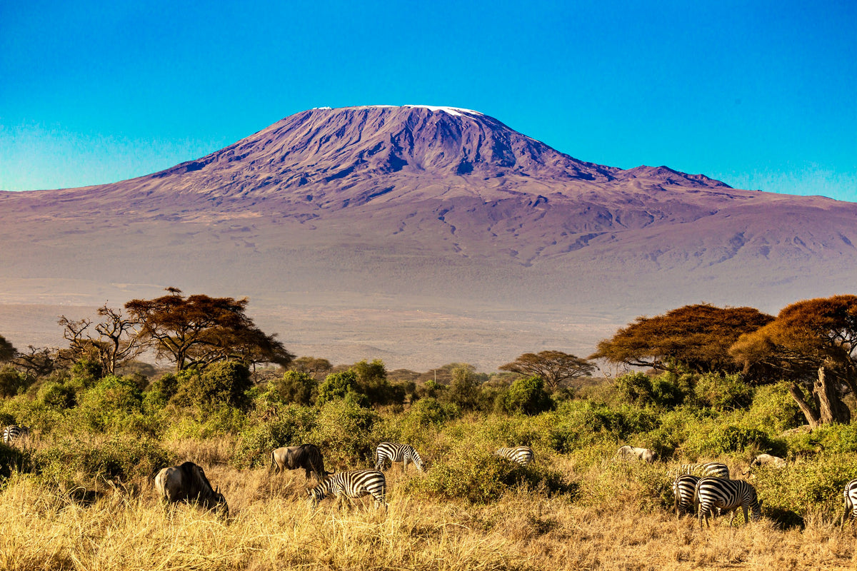 Kilimanjaro · 8 Jul – 16 Jul 2027