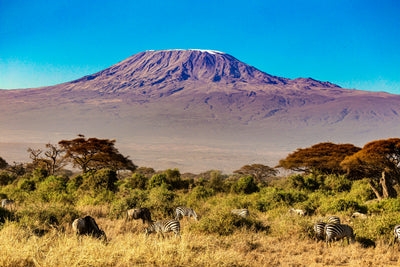 Kilimanjaro