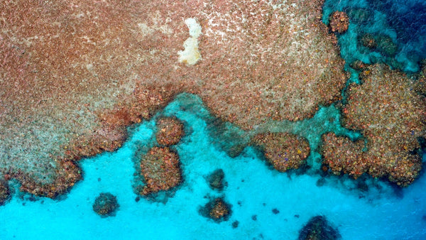 gran-barrera-de-coral