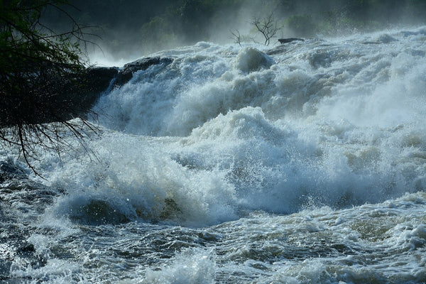 crucero-fluvial-por-murchison-falls