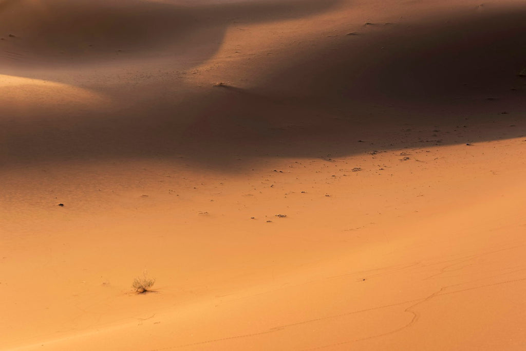 Marruecos · 14 Jun – 21 Jun 2027
