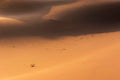 Marruecos · 14 Jun – 21 Jun 2027