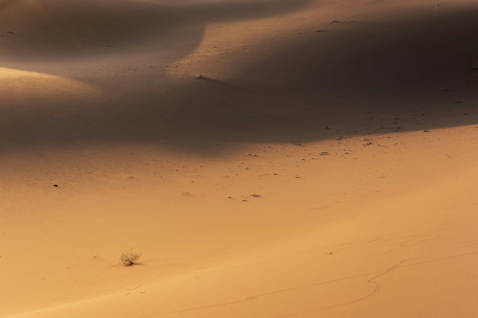 Marruecos · 14 Jun – 21 Jun 2027