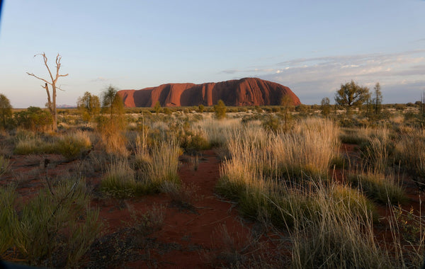 uluru-en-el-outback